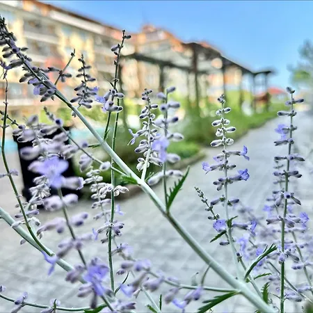 Apartment Chateau 2 - Menada Aheloy