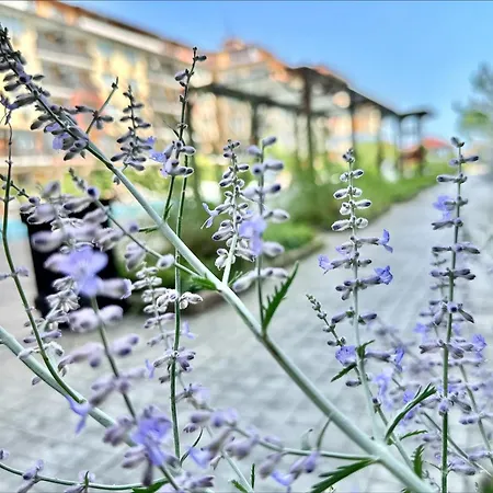 Apartament Chateau 2 - Menada Aheloi