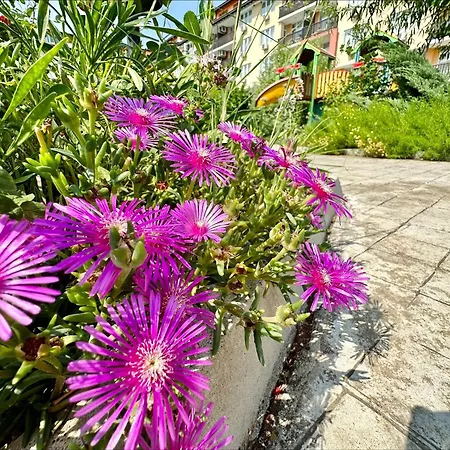 Apartament Chateau 2 - Menada Aheloi