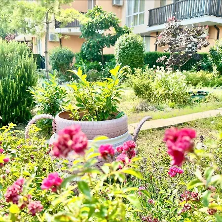 Chateau 2 - Menada Ахелой