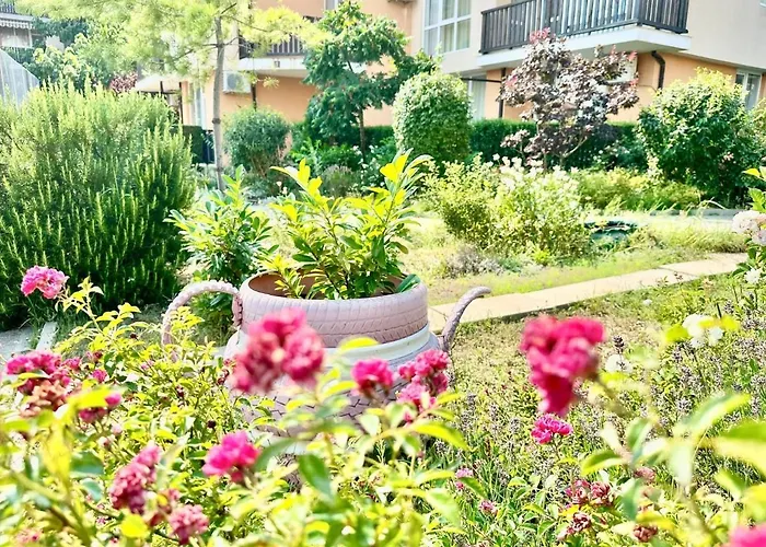 Chateau 2 - Menada Aheloy