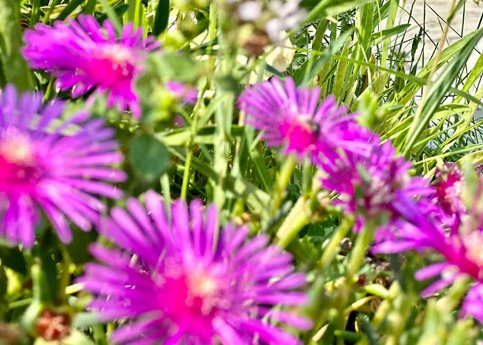 Chateau 2 - Menada Apartment