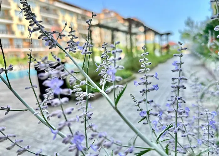 Apartment Chateau 2 - Menada Aheloy