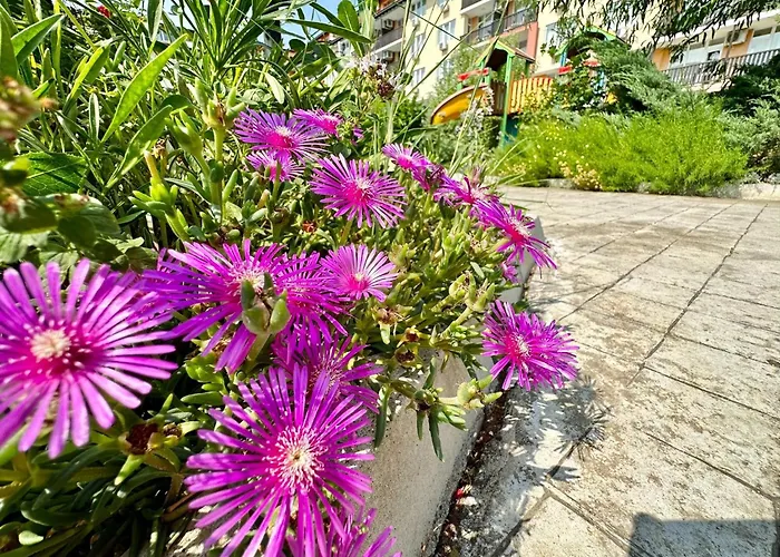 Apartment Chateau 2 - Menada Aheloy